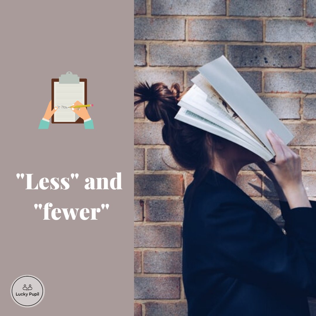 Lucky Pupil tweet media