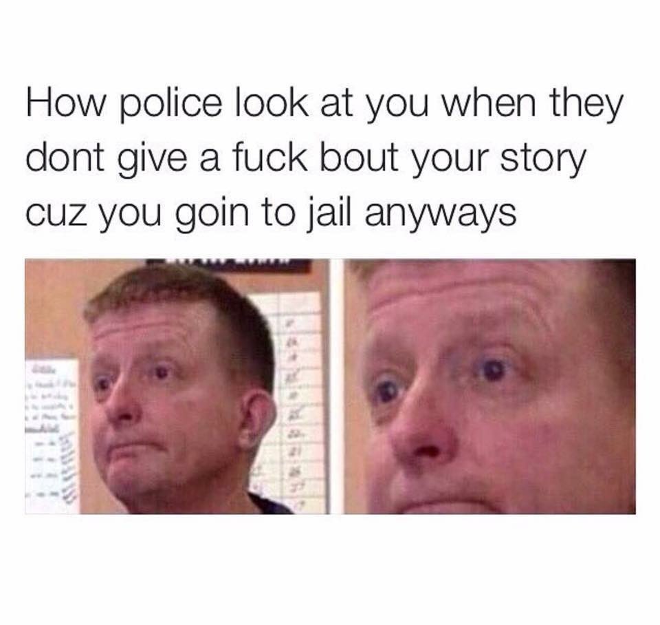 Made You Look tweet media