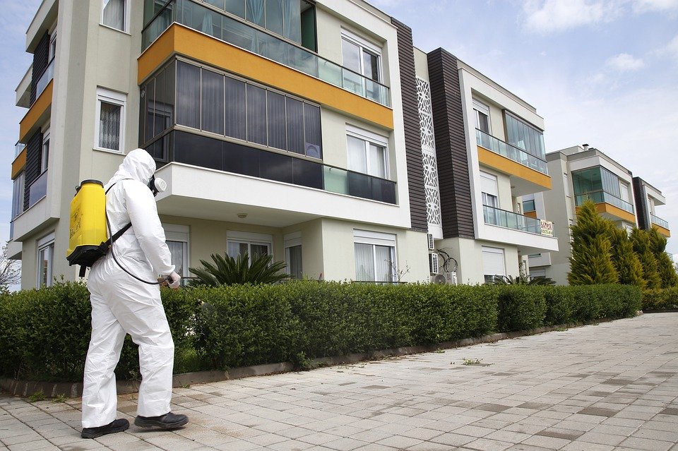 İlaçlama Firması
Bir ev sahibi ya da ofis sahibi olarak yaşadığımız alanlarda böcek ve haşereleri istemeyiz. 
yigitcevre.com/ilaclama-firma…
#ilaçlamafirması #ilaçlama #dezenfektanilaçlama #dezenfekteilaçlama #yiğitçevre #böcekilaçlama #haşereilaçlama #kemirgenilaçlama #yılanilaçlama