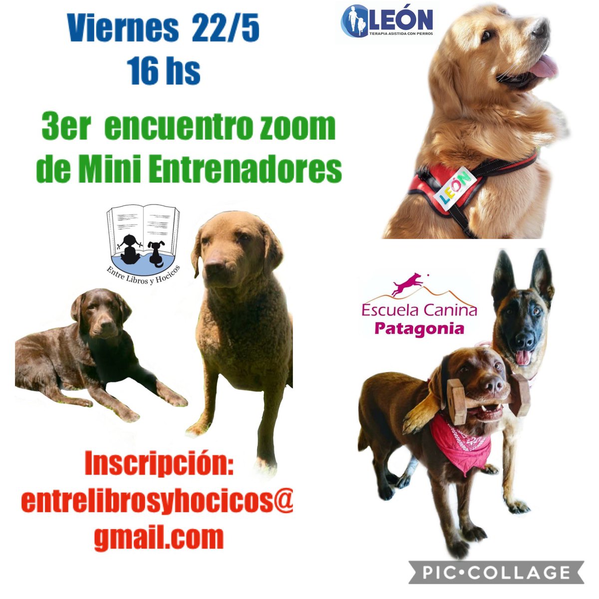 #NuestraTarde  nosotras realizamos actividades via zoom ya q no podemos estar con los  niños en forma presencial