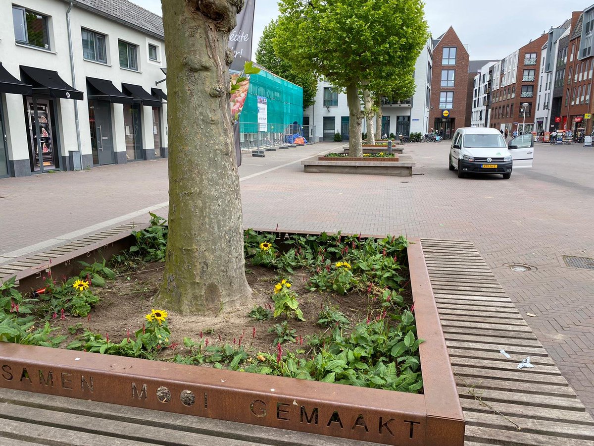 Voor de verfraaiing van de gemeente plant <a href="/SIGHTLS/">SIGHT Landscaping</a>, in opdracht van de <a href="/Gem_Leusden/">Gemeente Leusden</a>, 250 zonnebloemen op rotondes en markante punten. Op deze manier wordt er weer een bijdrage gedaan aan de biodiversiteit in Leusden.
#zonnebloem #zomer #wijmakendewereldmooier
