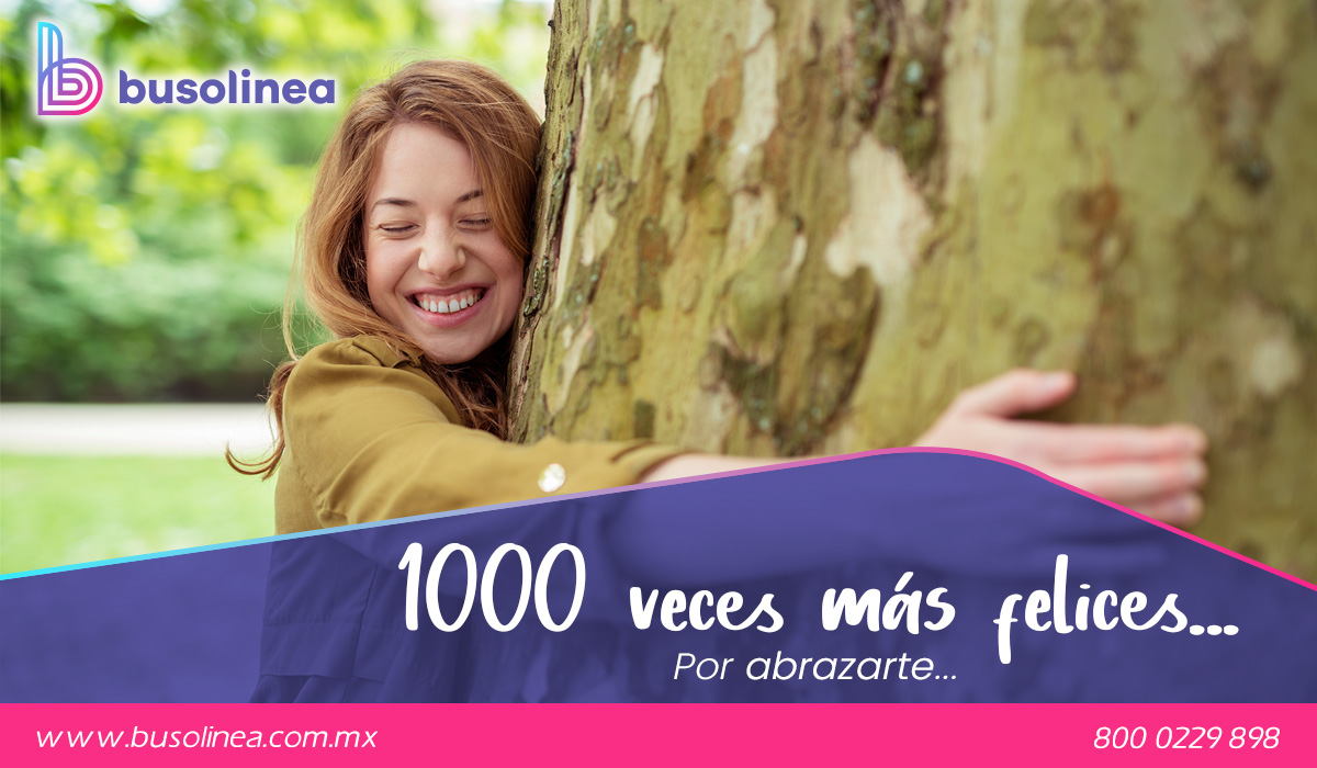 Busolinea's tweet photo. La felicidad nos invadirá de nuevo... así que es hora de planear ese viaje que tanto hemos postergado... 🤗❤️😀
https://t.co/4QBy0IAyYp
#CadaVezMásCerca https://t.co/0lBBw5XMnI