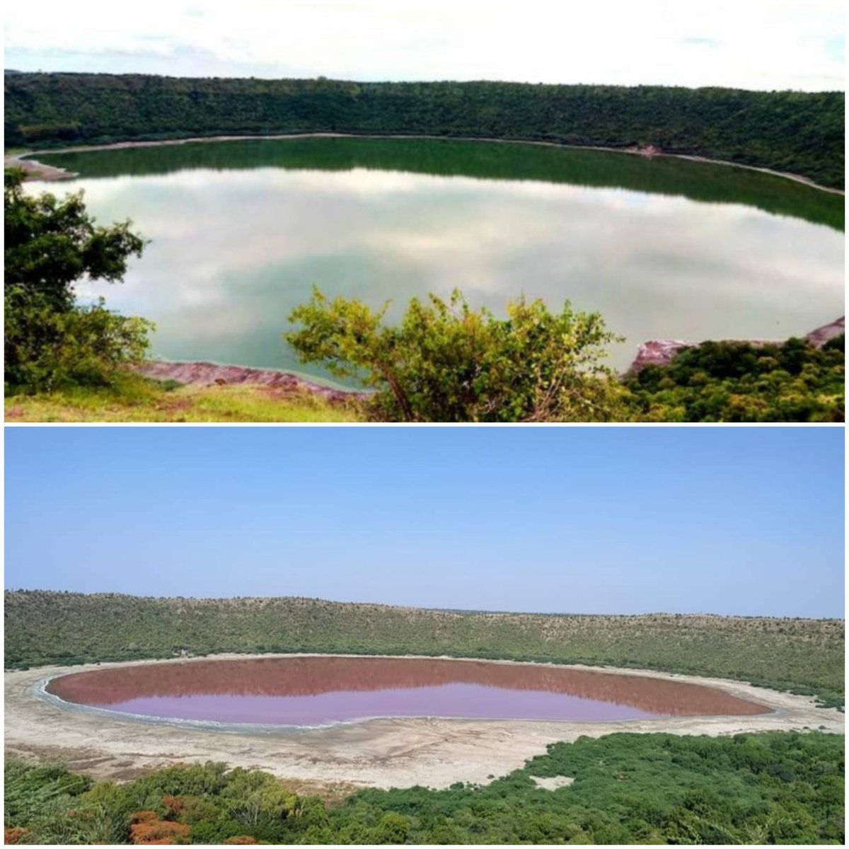What could be reason for changing Blue Green colour to pink one?
May be Algae and scanty supply of fresh water. 
But both colour look awesome,<a href="/maha_tourism/">Maharashtra Tourism</a>
#lonarlake
<a href="/AnkitKumar_IFS/">Ankit Kumar</a> @JamirShaikh_IFS