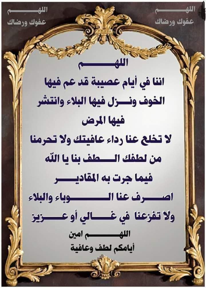 جمعة عامر مقيد tweet media