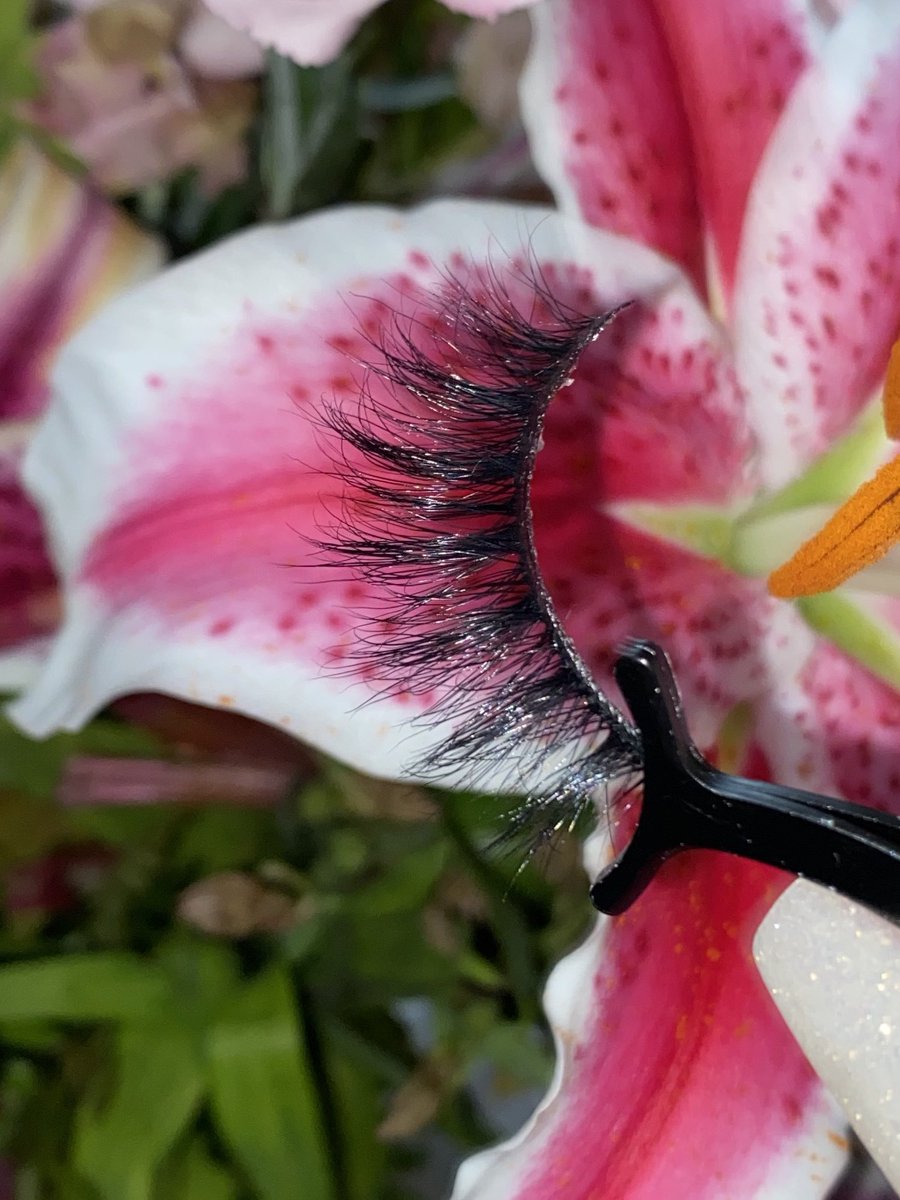 elitelashesydf's tweet photo. Lashes 🌸🌺💐🌷#Cobblashes #minklashes #minkstrips #lashboss #kennesawlashes #smrynalashes #mariettalashes #minkextensions #retweet #elitelashesydf #minklashes #extensionlashes  #eyebrowtint #lashlift #lashtint #blackbusiness #striplash #stallion #hotgirlsummer https://t.co/ElVhRbePQc