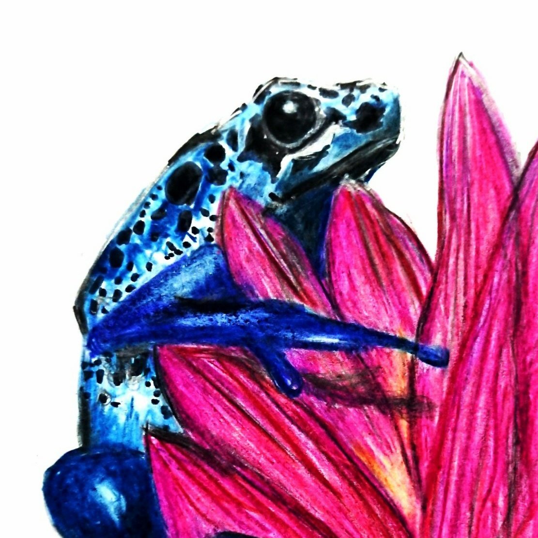 さくらん坊 Rdsmo5arqh9mu8s Twitter さくらん坊 Rdsmo5arqh9mu8s Twitter