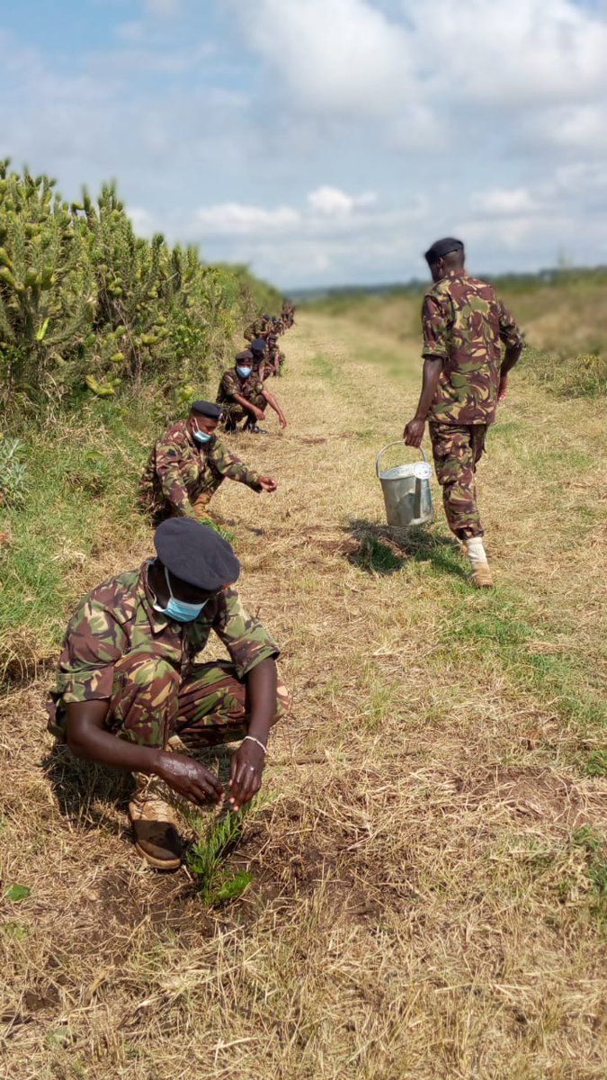 Kenya Defence Forces tweet media