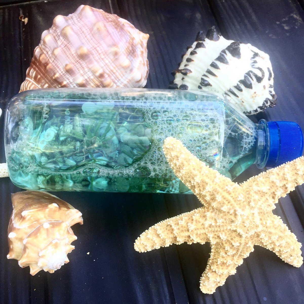 discoverWCM's tweet photo. Tune in today at 11am for story time with Jeannette on Zoom!! Let’s take a dip in the deep blue ocean and learn all about our friends who live underwater! 🐳🐙🦀🐠 Every Wednesday at 11!
https://t.co/rZd0ay7HsM
#WCMAtHome #storytime #momlife #kids #onlinelearning https://t.co/ynBOEqjDm0