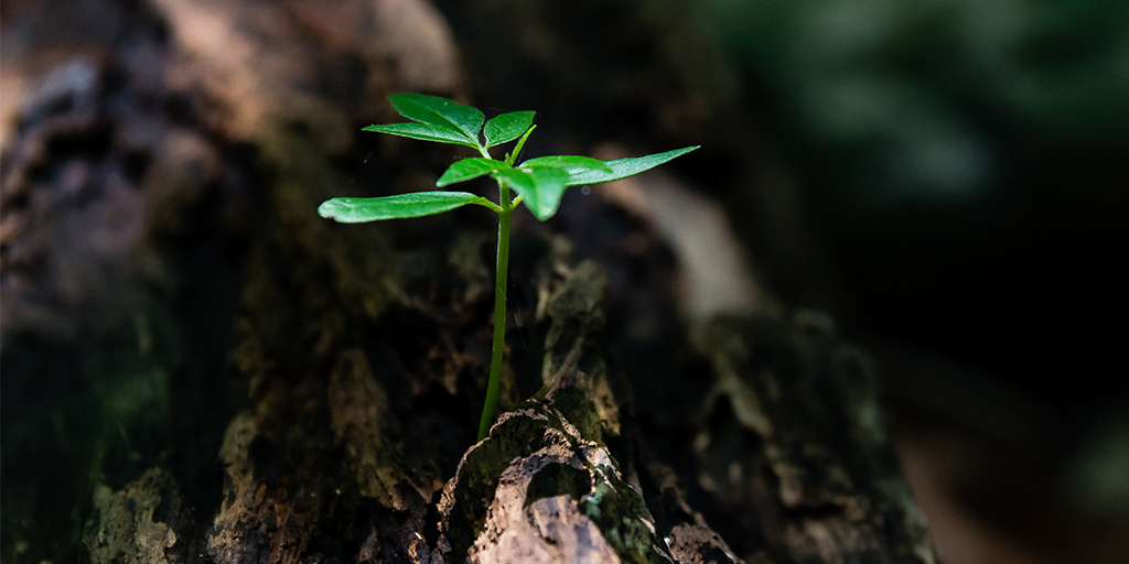 RiskFirst_'s tweet image. RiskFirst CEO Matt Seymour recently spoke to @PLANSPONSOR about the increased interest from plan sponsors in #ESG investing and how pension plans can best integrate their investment practices with ESG principles. Full story here: ow.ly/X9Wz50A3ZIP