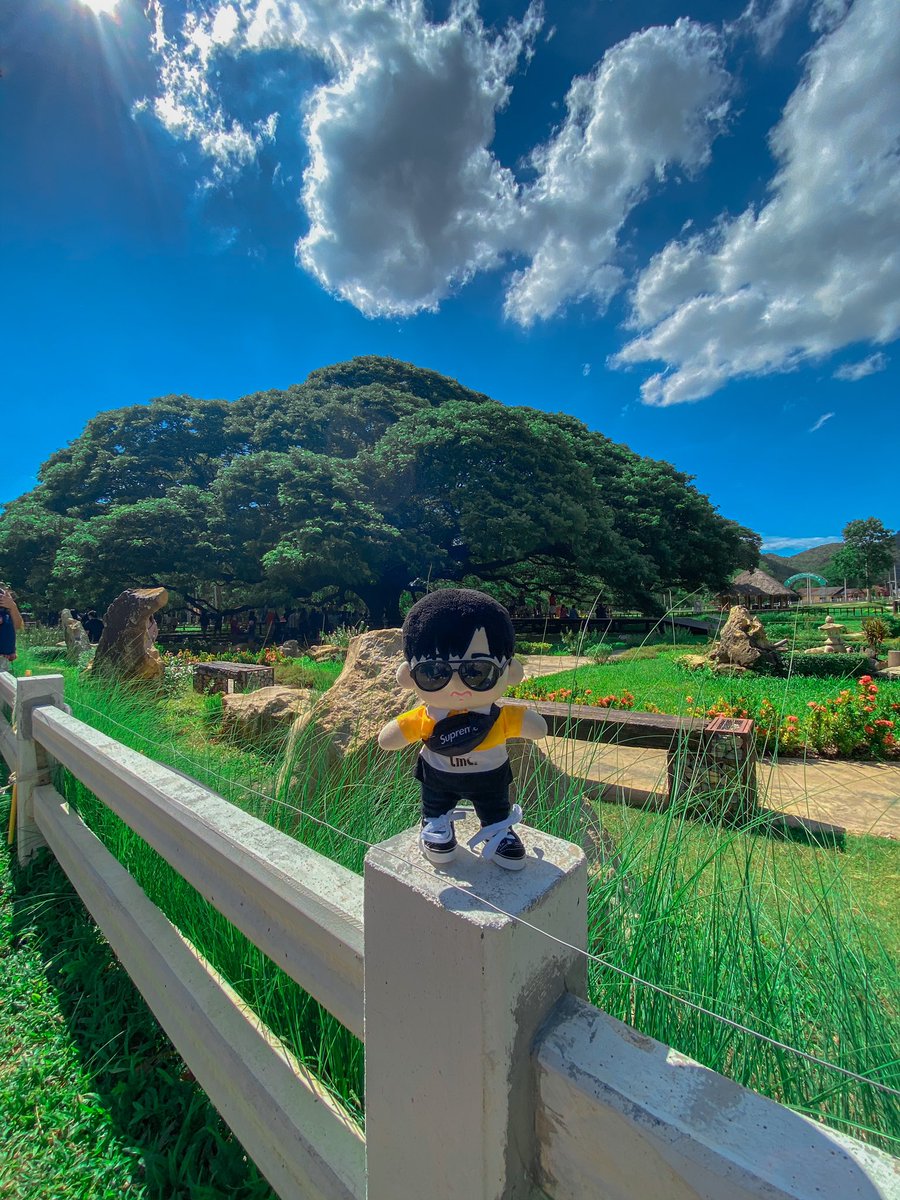 GwrAriel's tweet photo. เอาเรื่องอยู่นะ เท่สุดๆไปเล้ยยยย #nerdybin #นดบรีวิว https://t.co/hzN3MRRR30