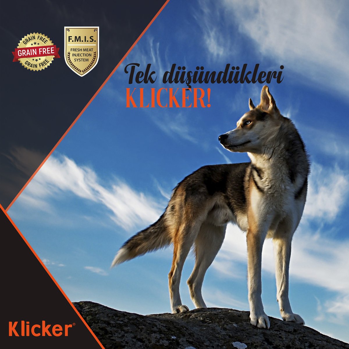 KlickerTurkiye's tweet photo. Uzaklara bakıp neler düşünüyor?
Tabii ki akşam yiyeceği mamayı! 😊 https://t.co/37lm4fnBou