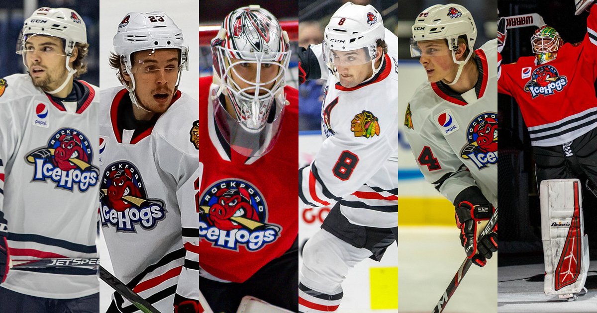 Rockford IceHogs tweet media