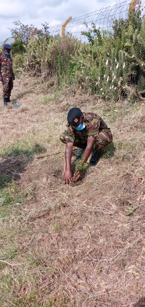 Kenya Defence Forces tweet media