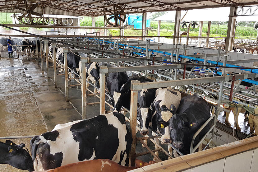 AgroBericht's tweet photo. #Brazilië is hard getroffen door de coronacrisis. Wat betekent dit voor Nederlandse ondernemers die daar actief zijn? In een reeks van 7 webinars praat het Economisch Netwerk in Brazilië u bij over de ontwikkelingen @AgriBrazilie https://t.co/7bfnNToUWh https://t.co/NIUGcFnWKG