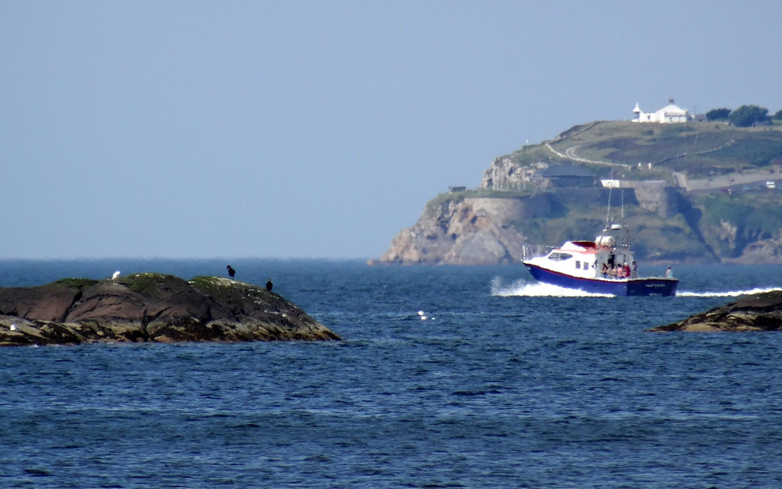 Wildsea_EU's tweet photo. #NativeExplorers: Hop aboard a #boattrip and start exploring the stunning beauty of #Ireland from sea! #Donegal boasts some of the wildest scenery and natural landscapes of the Atlantic.
Follow this thread: https://t.co/BEdhZa5kmK
