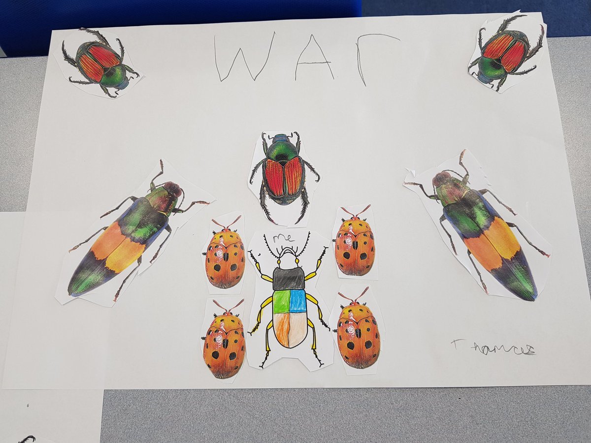 We did some learning about insects today. We collected number facts about insects and looked at some amazing collage art using insects- we created our own and gave our work a title that hinted at the story behind the picture. We also did lots of timetables practice!