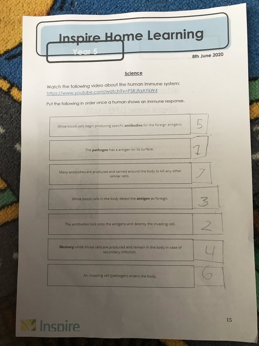 Teodor work.Readig,Spag,Writing,Geography ,English,science.