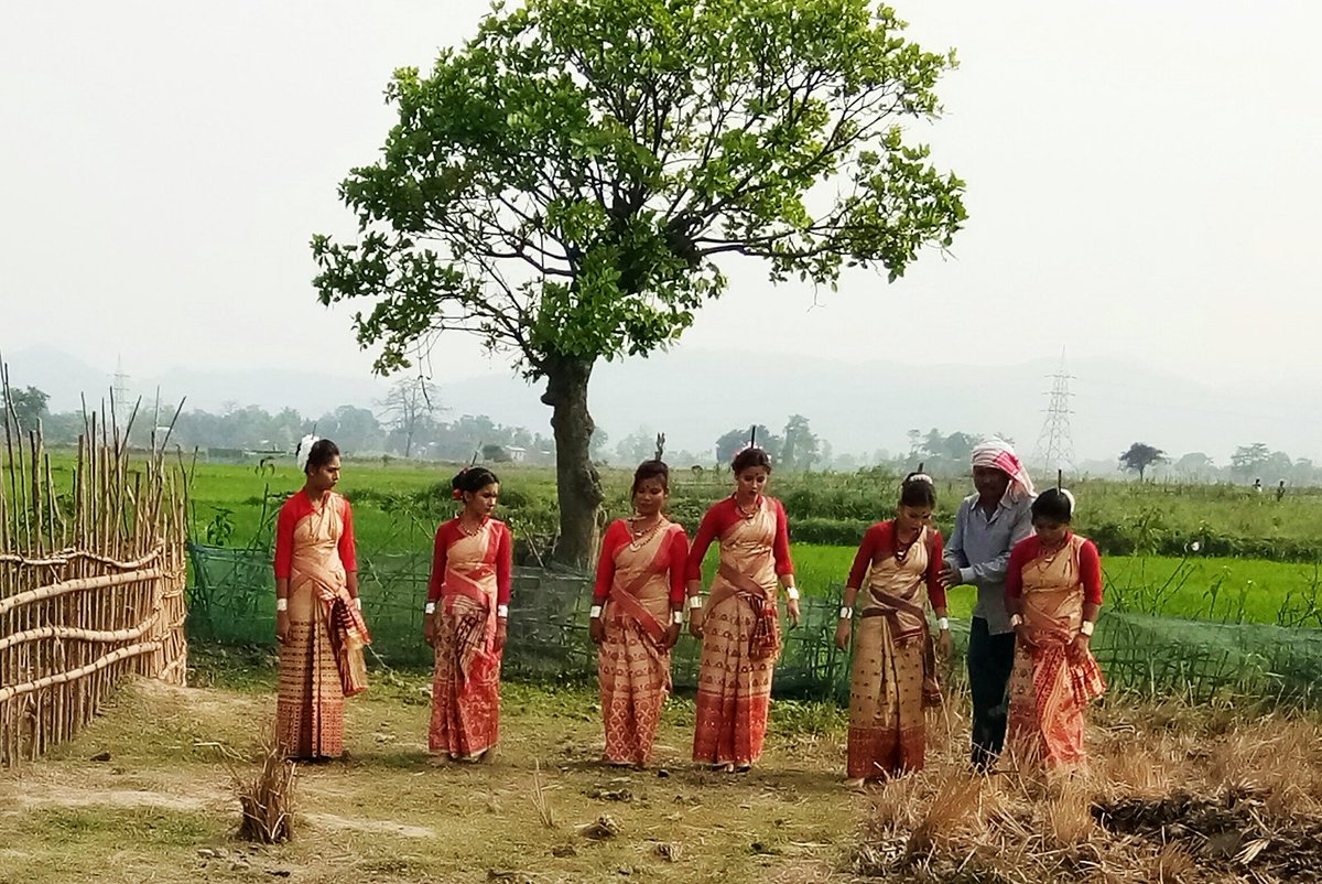 aaapb1125's tweet photo. New Assamese Bihu Song "Kopoupahi" https://t.co/XmvaWSXFUn
