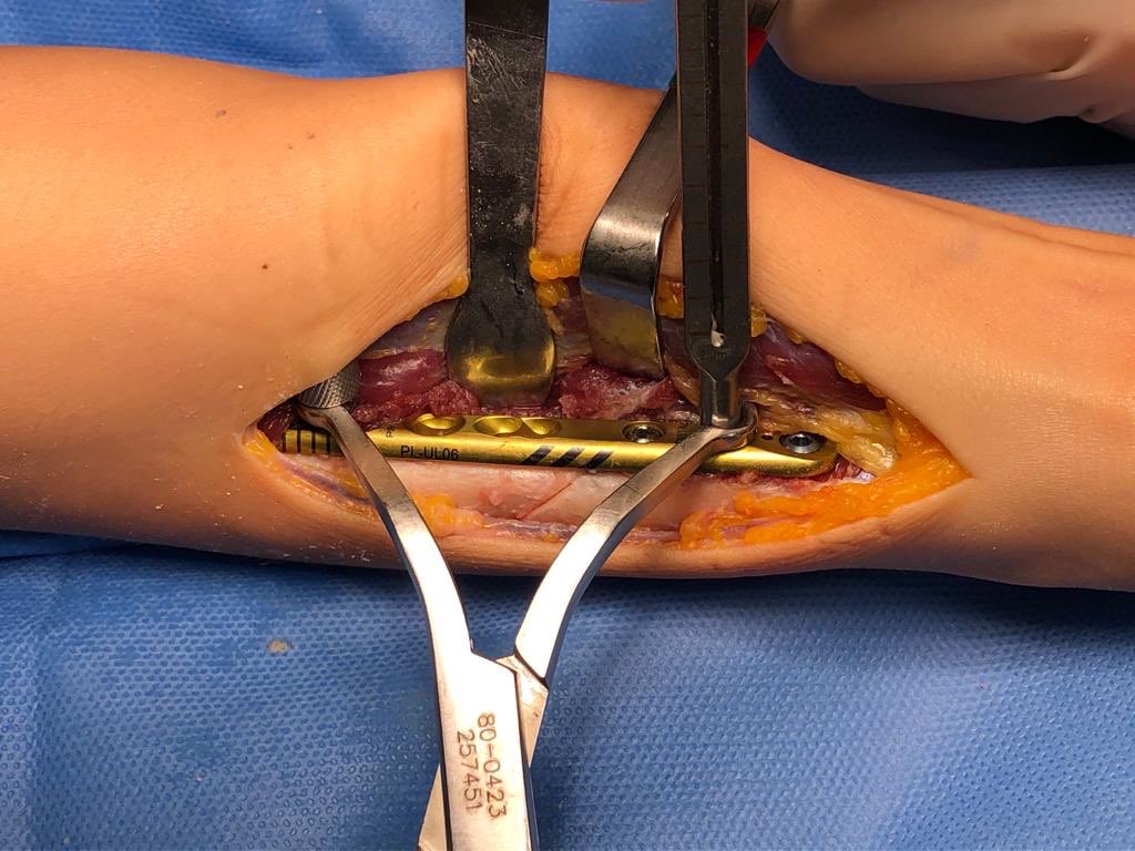 Dr. Sergi Barrera tweet media