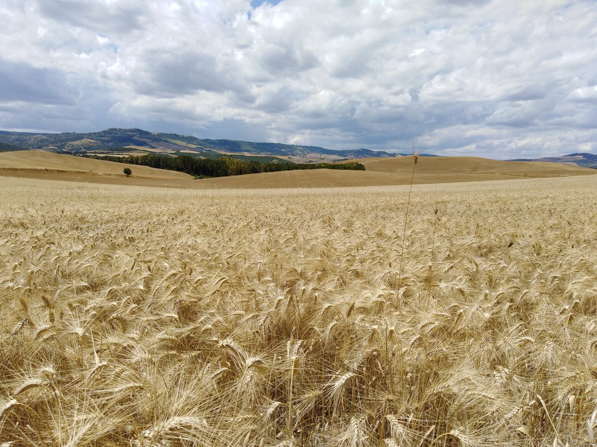 #Basilicata #terradimezzo #book #photography #landscape #travelling <a href="/bikebasilicata/">ferulaviaggi</a> #slowfood #intothewild #nationalpark @SlowTravelStays <a href="/trekking_it/">TREKKING&Outdoor</a> <a href="/NatGeoTravel/">Nat Geo Travel</a> <a href="/DRepubblicait/">Moviesda Hindi</a> <a href="/quotidianoweb/">Quotidiano del Sud - Basilicata</a>