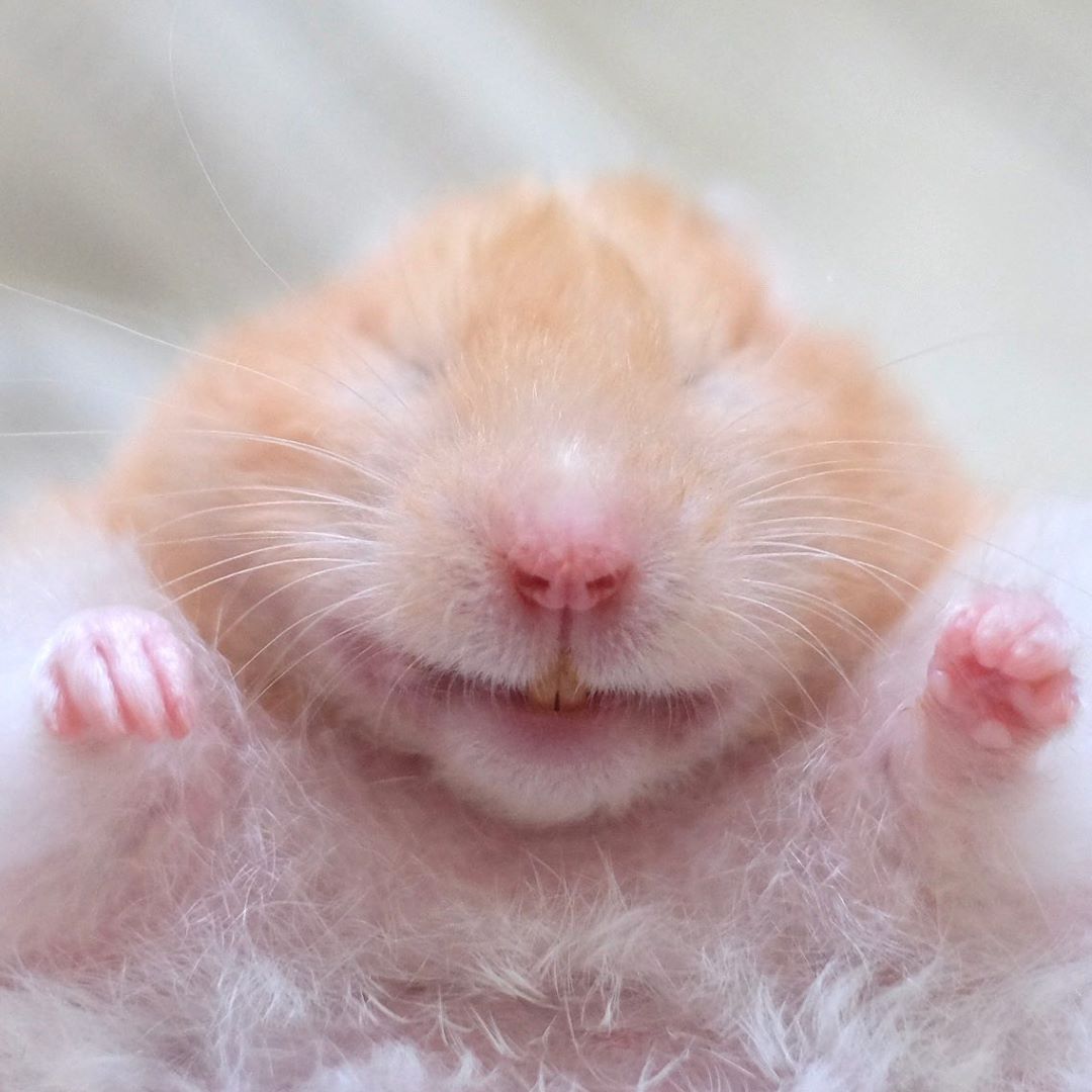 ＼(≧▽≦)／