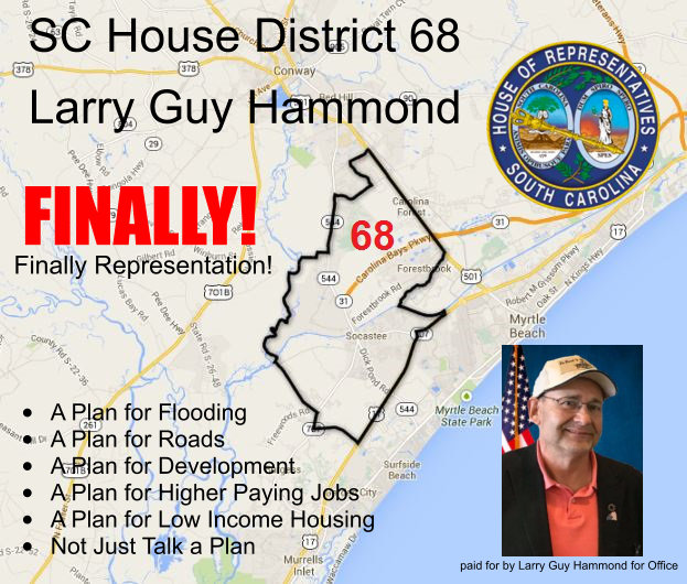 LarryGuyHammond's tweet image. Conservatives can still win their seat back come November 3rd. I told Mark Epps I would bow out if he won ... he didn't . So , I am still going to try to unseat #HeatherAmmonsCrawford. I have the same problem all the candidates have had .. no funds! 

#LarryGuyHammond #SC68