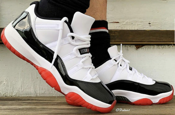 concord bred 11 on feet