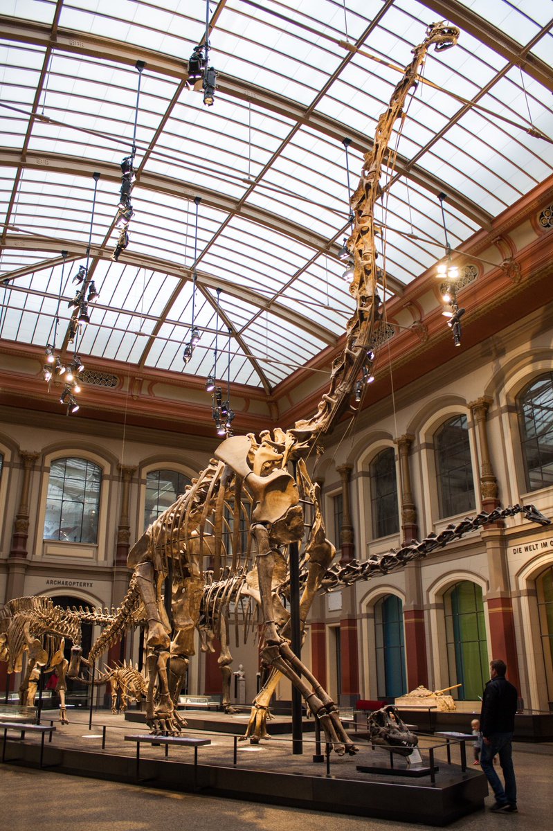 dinopals tweet picture
