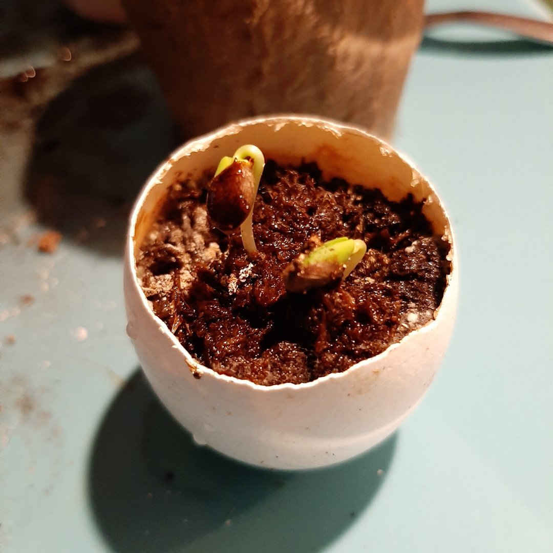 The Time Repair Corporation tweet media