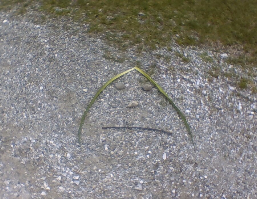 gove_rebecca's tweet photo. Nature Art #andygoldsworthy #hcslearns #cvsdvt #cvsdstrong #artathome https://t.co/y412xB13TN