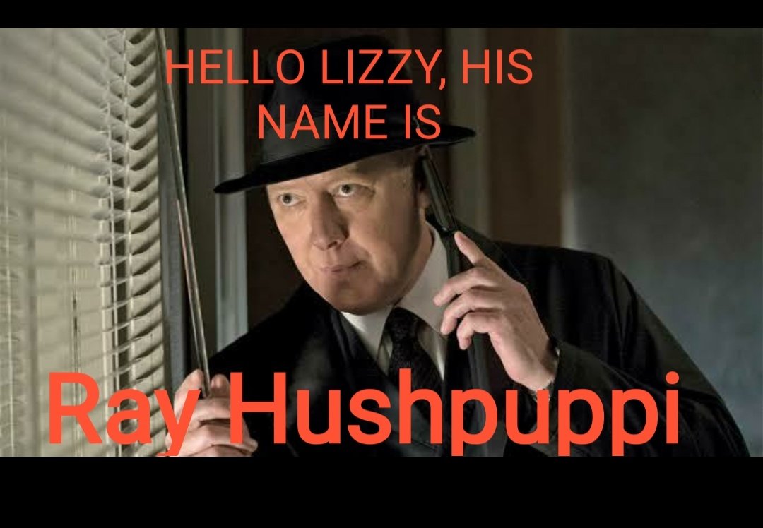 (phone ringing: nick's pizza)Reddington: Hello Lizzy, I've a case for you.     Have you heard of a small group of young boys from Nigeria headed by An Instagram big boy called Hushpuppi? A wealth man whose source of wealth is unknown! He's the next name on the blacklist.