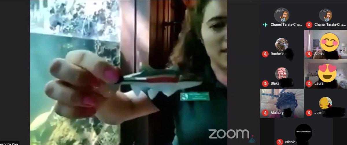 Aujourd’hui, les élèves de 5e <a href="/EECSJB/">ÉÉC St-Jean-Baptiste</a>  sont au Zoo de Toronto pour la sortie EN FRANÇAIS « Exolorons les grands lacs » ! #journeemondialedesoceans <a href="/mmealexandrad/">Alexandra DiFelice</a> <a href="/EcoSchoolsCAN/">EcoSchools Canada</a> <a href="/cscmonavenir/">Csc MonAvenir</a> <a href="/TheTorontoZoo/">The Toronto Zoo</a>