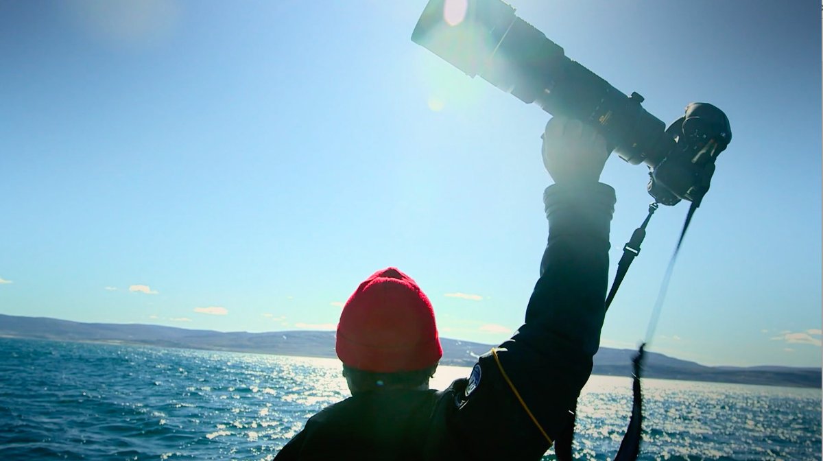 firstshowing's tweet photo. Official Trailer for 'Picture of His Life' Doc About a Nature Photographer https://t.co/wfRtLATX7i #docs #AmosNachoum #photographer @HeyJudeCompany https://t.co/ufrsCgIRm2