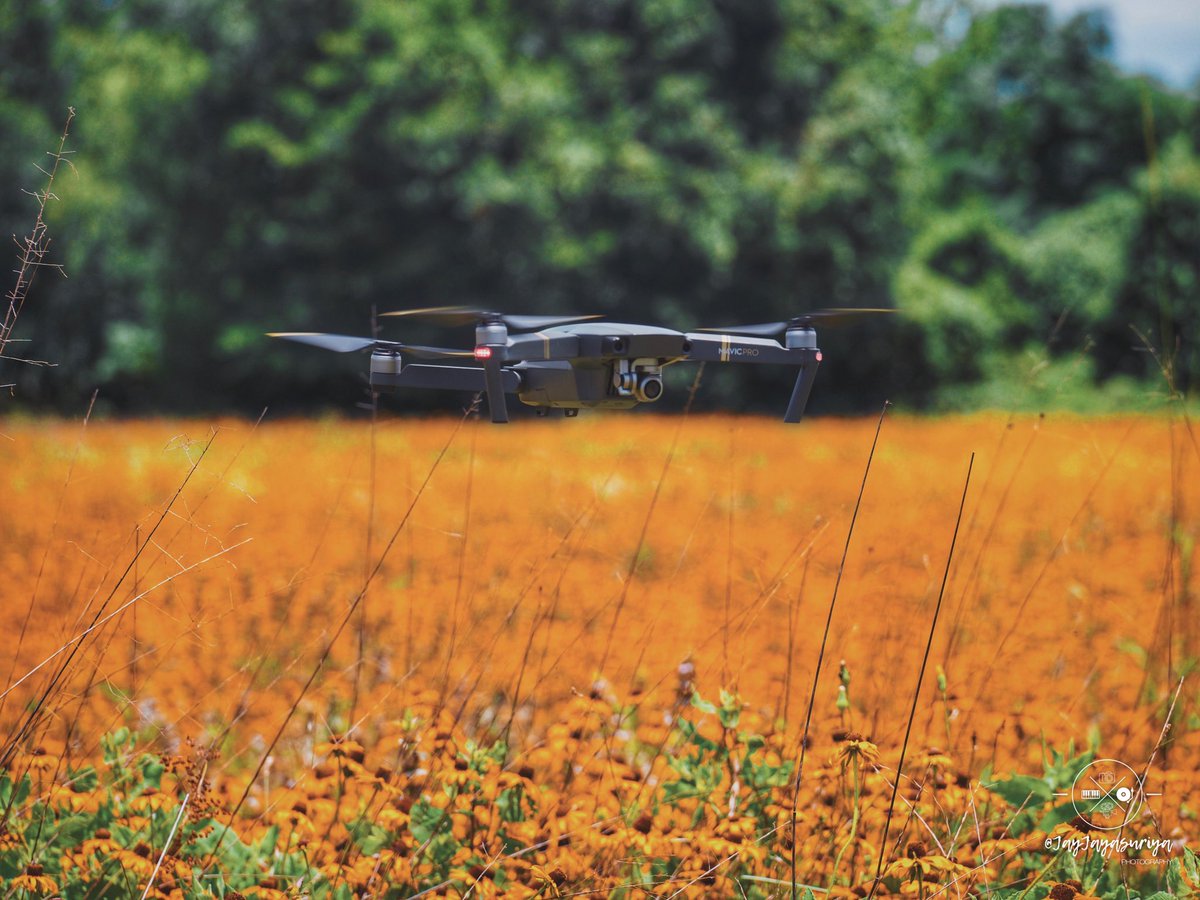 Always wanted to fly my drone over a field of beautiful flowers 💐 
.
#drone #dji #djimavic #djimavicpro #mavicpro #mavic #dronephotography #flowers #orangeflowers #field #nature