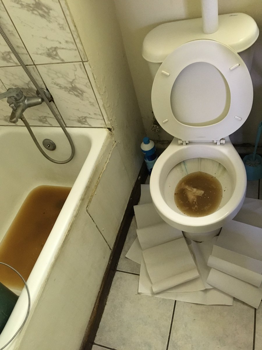 Shikko71's tweet photo. @MuniCerrillos @SMAPA_MAIPU  @cathybarriga  @CHVNoticias @arturo_aguirreg 11:20 los vecinos van al baño, resultado: LA KK de ellos en mi baño, 3 días en lo mismo,HAGAN ALGO YA esto es indigno ¡¡¡ pero @SMAPA_MAIPU "no tiene gente"🤬 que chucha les pasa https://t.co/i1ahdgrNsM