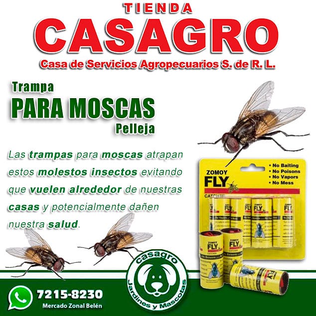 casagrohn's tweet photo. ¿Tienen problemas con las moscas? En nuestra Tienda #CASAGRO te ayudamos a combatir la plaga de moscas
(L. 10) cada pelleja https://t.co/TX7EObtPPC