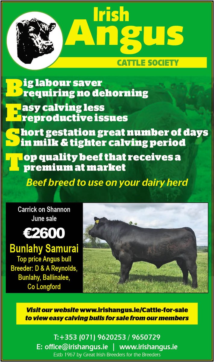 Irish Angus Cattle Society (@cattleangus) on Twitter photo 