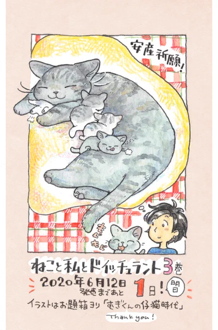 #ねこと私とドイッチュラント 3巻、明日となりました?

お題はお二人からいただきました「むぎくん仔猫時代」です。そのうちおひと方はこれからお産を控えているとのことで、安産祈願を込めて。 