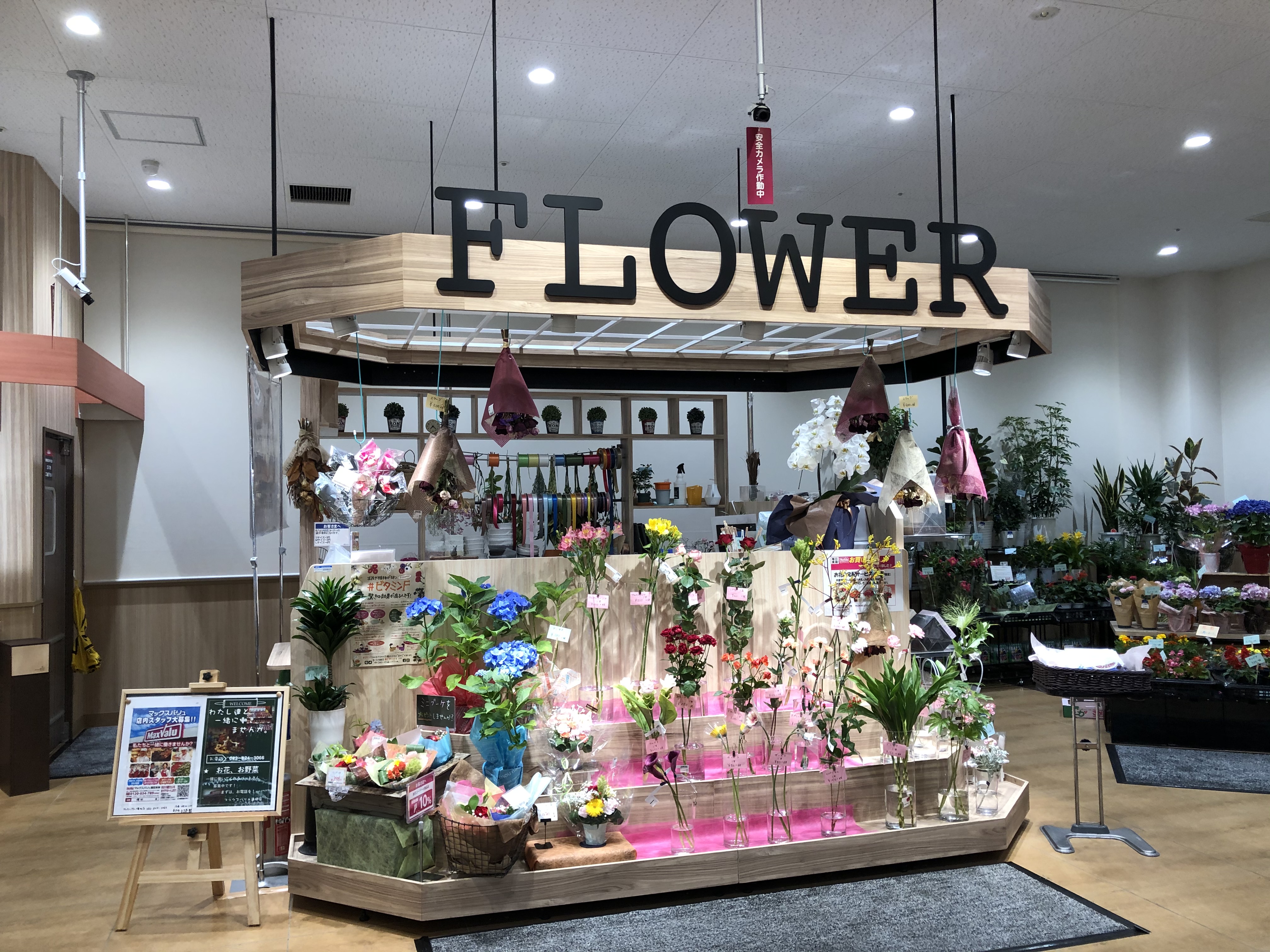 Twitter 上的 友梛 ゆうな 2階に上がると 入口すぐの花屋さんで 花が1本ずつ買えるようになっていました 前からでしたっけ 普通のスーパーはセット売りなので うれしいですね 立派なアルストロメリア クルクマがあります 大好きな花です