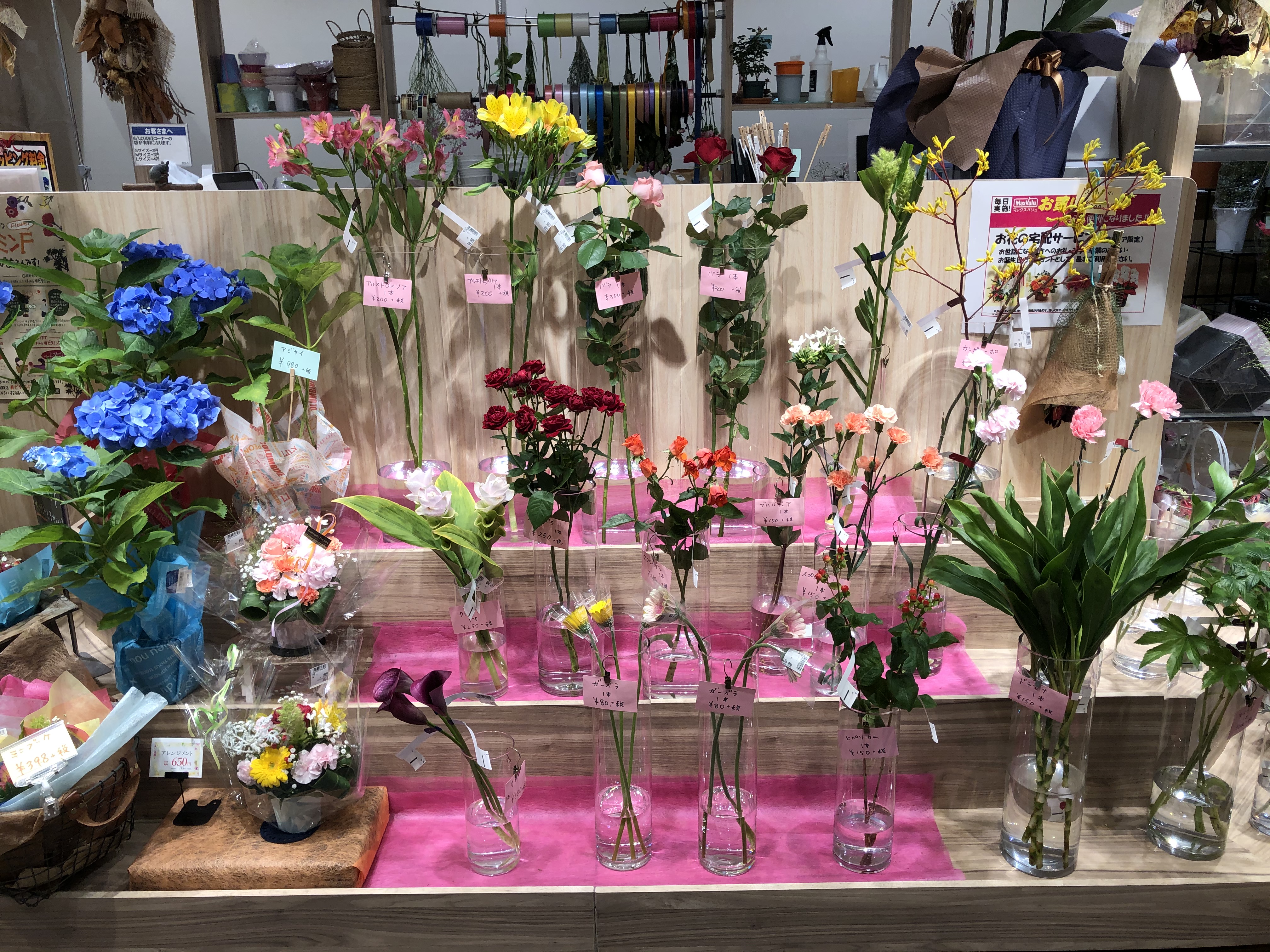 友梛 ゆうな 2階に上がると 入口すぐの花屋さんで 花が1本ずつ買えるようになっていました 前からでしたっけ 普通のスーパーはセット売りなので うれしいですね 立派なアルストロメリア クルクマがあります 大好きな花です マックスバリュ