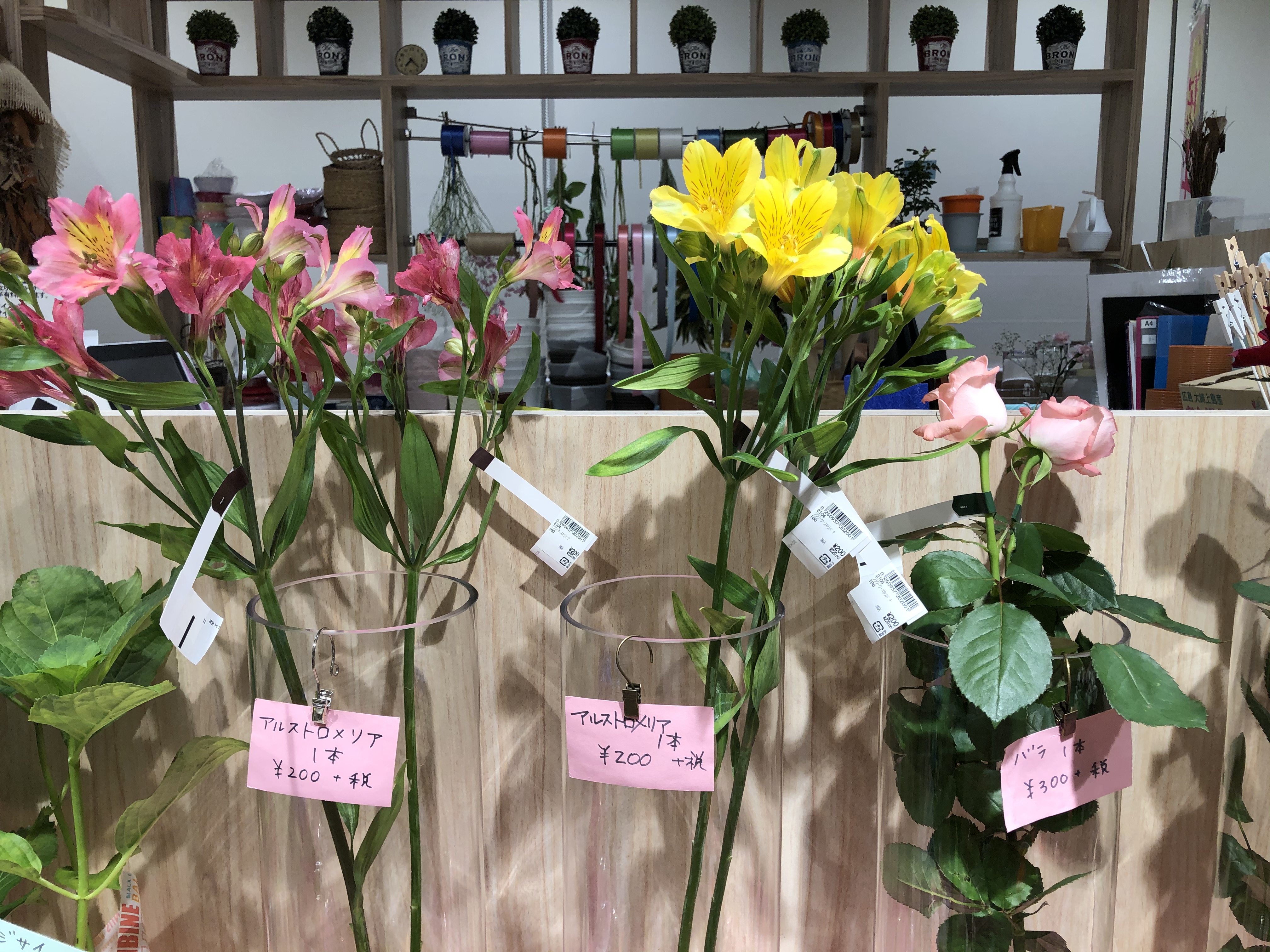 友梛 ゆうな 2階に上がると 入口すぐの花屋さんで 花が1本ずつ買えるようになっていました 前からでしたっけ 普通のスーパーはセット売りなので うれしいですね 立派なアルストロメリア クルクマがあります 大好きな花です マックスバリュ