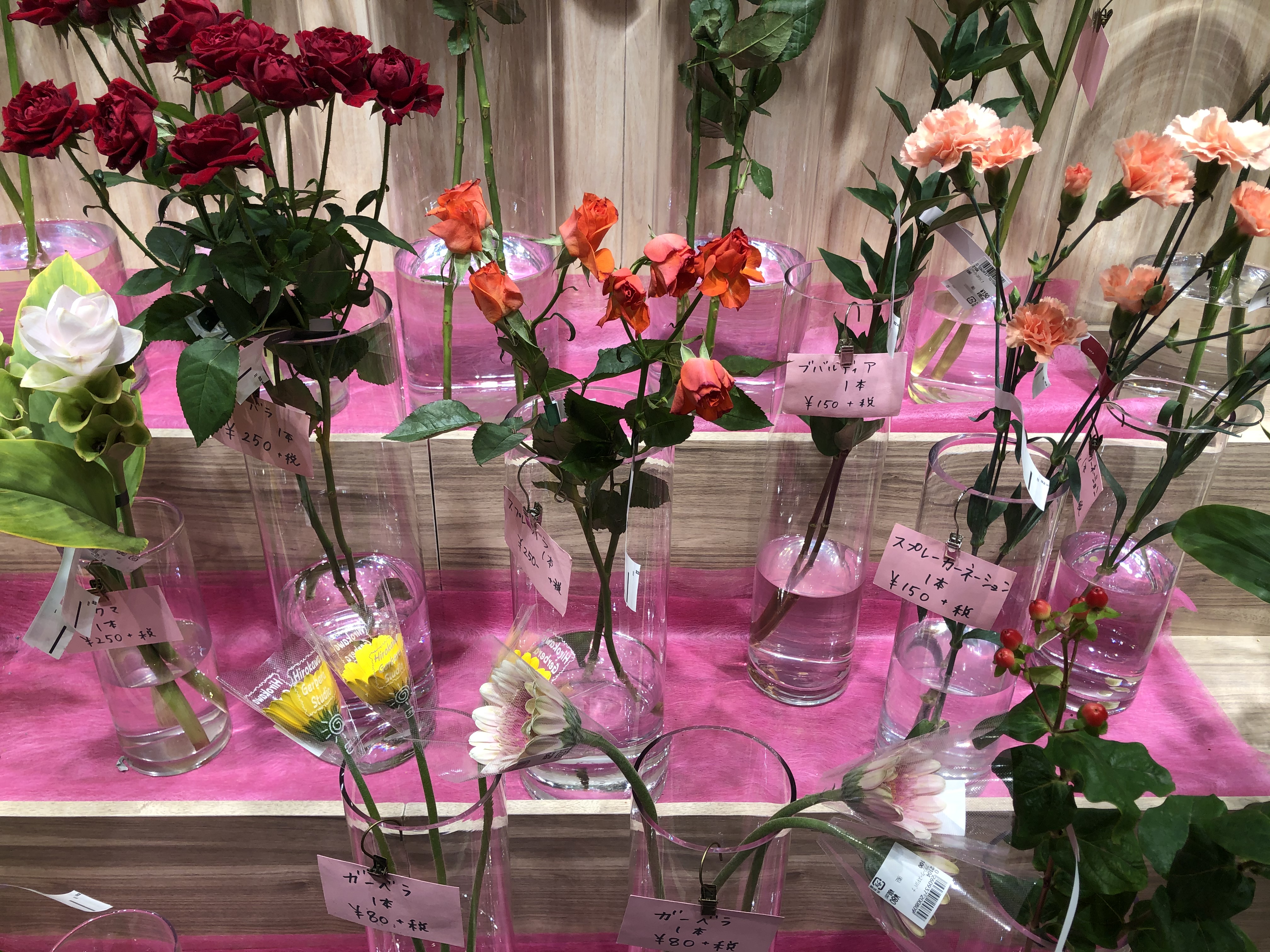 友梛 ゆうな 2階に上がると 入口すぐの花屋さんで 花が1本ずつ買えるようになっていました 前からでしたっけ 普通のスーパーはセット売りなので うれしいですね 立派なアルストロメリア クルクマがあります 大好きな花です マックスバリュ