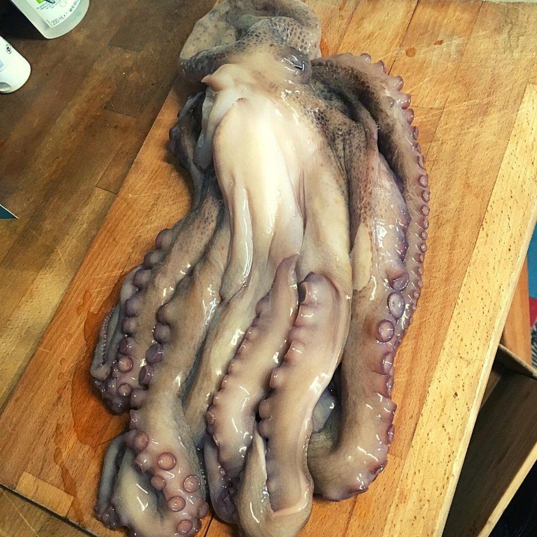 thepottedpig's tweet photo. The weather has had a slight turn but we are embracing it and so is the garden! Hoping for some sunshine this weekend so we can cook up another one of these bad boys 🐙
.
.
.
#bbqoctopus #bbq #lockdowncooking #chef #foodie #octopus #fishdinner #fishbbq #pottedpigathome https://t.co/4tElcASwlY