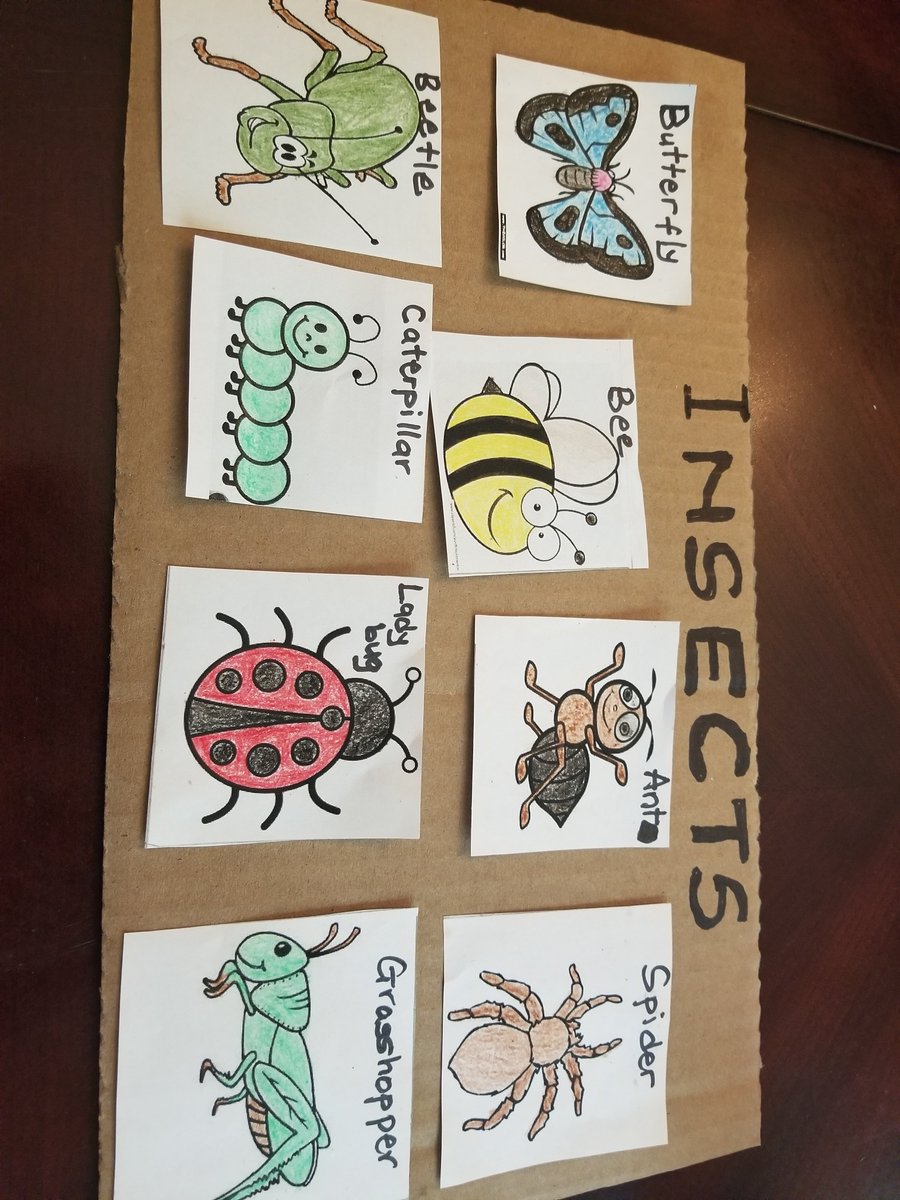 AdelDeck's tweet image. A board game of insects I played with my class on Google meet. They had to guess which insect was missing from the group each time I raised the cardboard.This was super fun and engaging. Joseph Brant kinder120 #VisualMemory #attentiontodetails #concentration