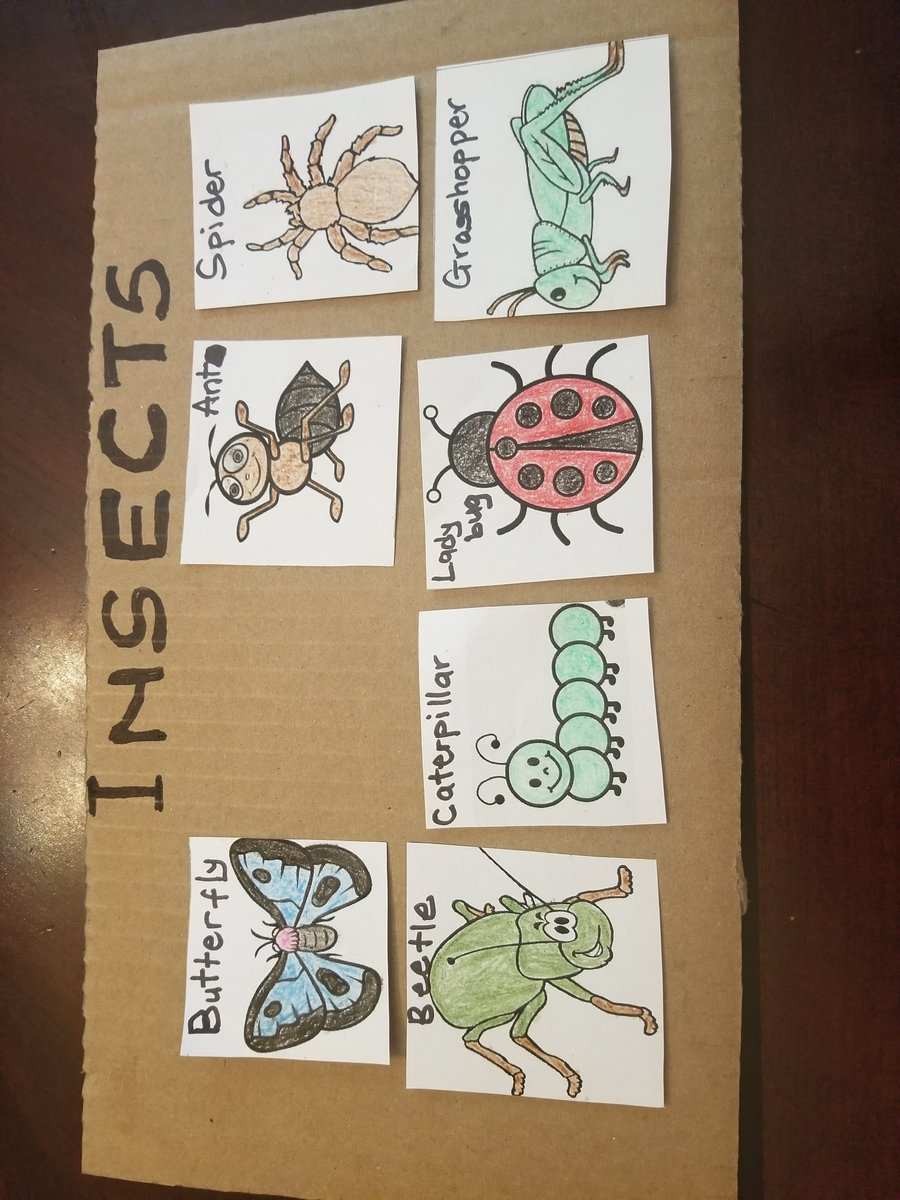 AdelDeck's tweet image. A board game of insects I played with my class on Google meet. They had to guess which insect was missing from the group each time I raised the cardboard.This was super fun and engaging. Joseph Brant kinder120 #VisualMemory #attentiontodetails #concentration