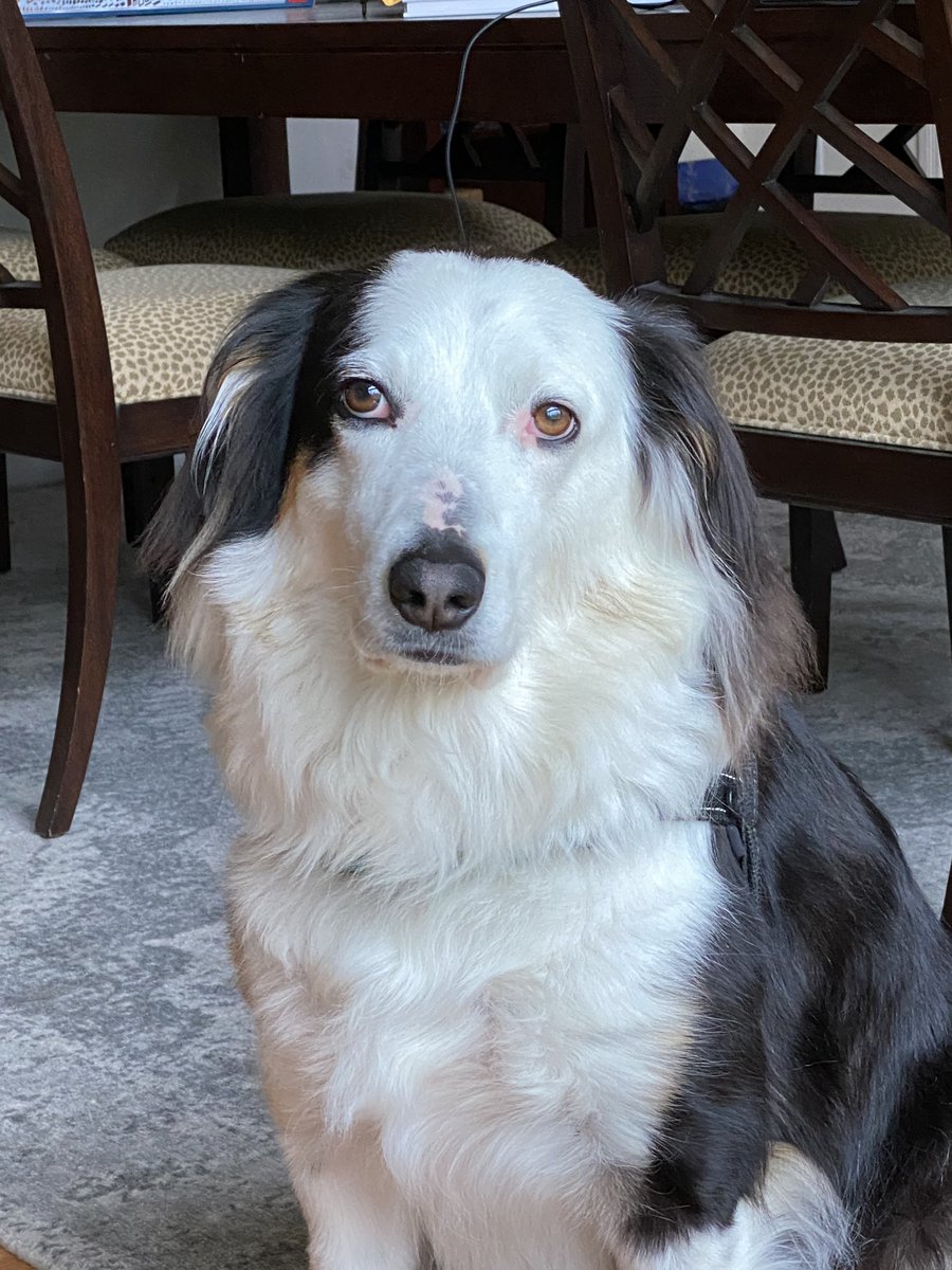 Jim Kitchen tweet media