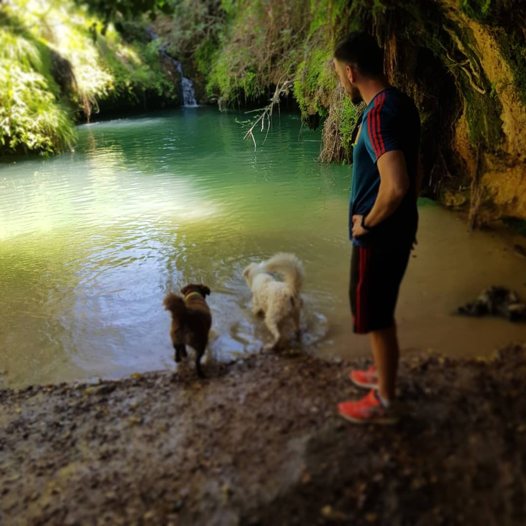 raul6gomez's tweet photo. 👣⛰ https://t.co/1fCBqLHXMh
