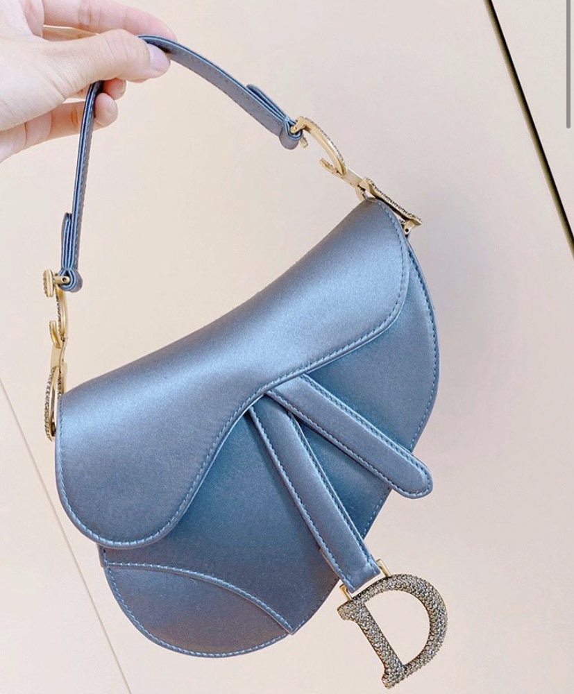 satin dior saddle bag