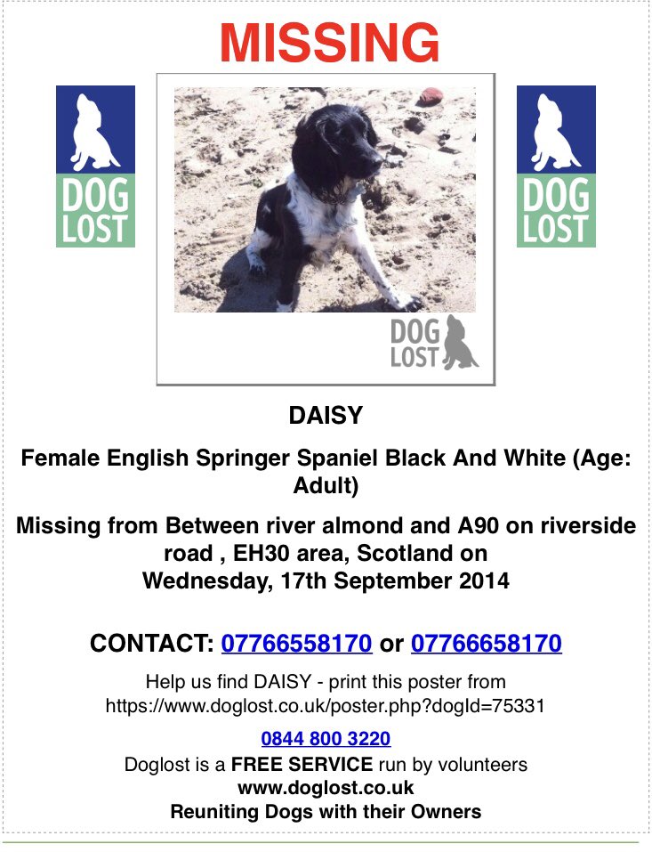 rosieDoc2's tweet photo. #SpanielHour 
💞💞DAISY missing since SEPTEMBER 2014 - Blk&amp;wh #ESS very distinctive markings - right leg mostly black with white sock 
CHIPPED/adult 
Vanished between #RiverAlmond &amp; #A90 on Riverside Rd, #EH30 🏴󠁧󠁢󠁳󠁣󠁴󠁿 
Have you seen her? 
https://t.co/8u07bJPOKA https://t.co/kEj2xtHK6v