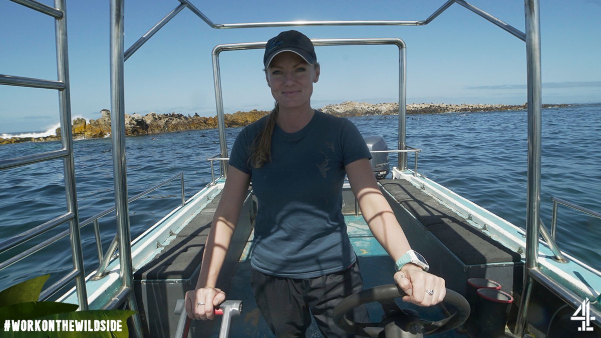 Marine biologist Alison will be joining us on Instagram tomorrow to answer some of your questions! 🌊🐳

What would you like to ask her? Post it below or on our Instagram Story. #WorkOnTheWildSide